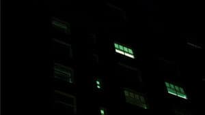 Лес — foto 5
