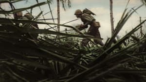 La II Guerra Mundial: Desde el frente — foto 6