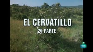 Episodio 20