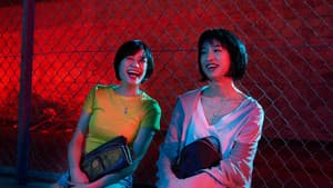 チワワちゃん — foto 5