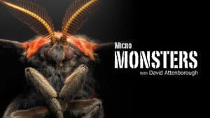 Micro Monsters with David Attenborough — foto 9