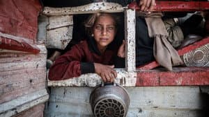 La gran Palestina — foto 1