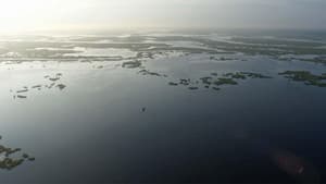 After the Spill — foto 1