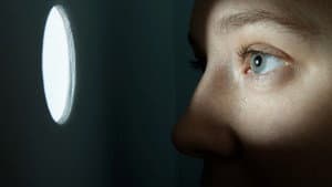 Spy Web — foto 1