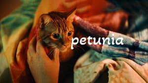 Petunia — foto 1
