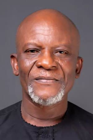 Toyin Oshinaike