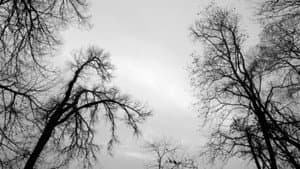 Spit and Ashes — foto 5