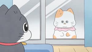 Episodio 15