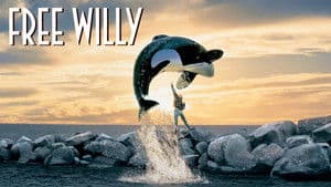 Liberen A Willy — foto 4