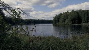Finding Limberlost — foto 1
