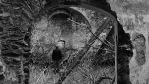 Patho Film, Wolfelsgrund — foto 4
