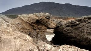 Never Leave Alive — foto 5