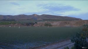 Canción del Campo — foto 1