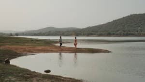 ପାବାର୍ — foto 3