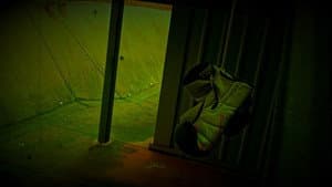 Trapped In Sight — foto 1