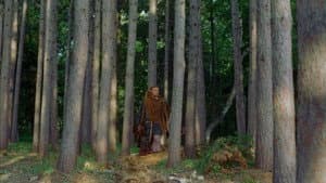 Vikings: Journey to New Worlds — foto 1