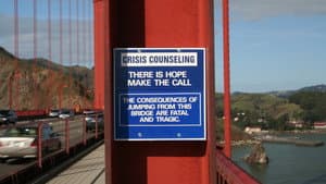 The Bridge — foto 2