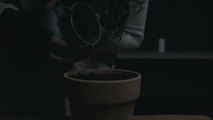 BLOOM - A Dystopian Short Film — foto 4
