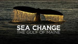 Sea Change: The Gulf of Maine — foto 2