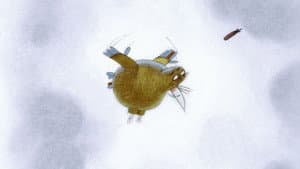 Le petit cirque et autres contes — foto 4