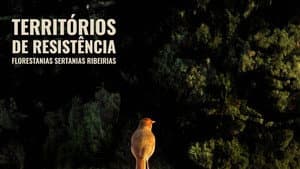 Territórios de Resistência - Florestanias, Sertanias, Ribeirias — foto 1