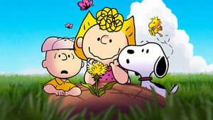 Snoopy presenta: Las acciones pequeñas cuentan, Charlie Brown — foto 2