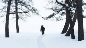 Cold — foto 1
