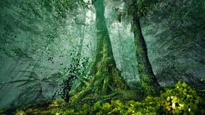 The Giants — foto 1