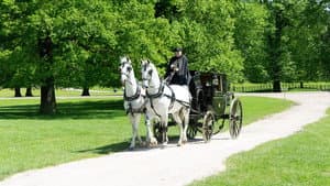 Britain's Outlaws: Highwaymen, Pirates and Rogues — foto 1