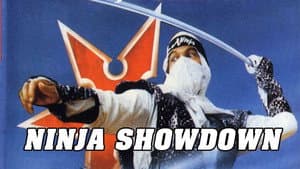 The Ninja Showdown — foto 3