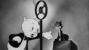 We, the Animals - Squeak! — foto 1