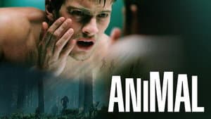Animal — foto 1