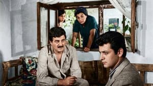 Bekçi Murtaza — foto 1