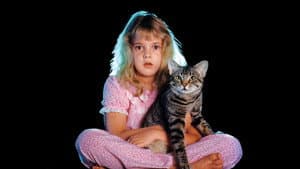 El ojo del gato — foto 3