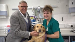 The Dog Hospital with Graeme Hall — foto 1
