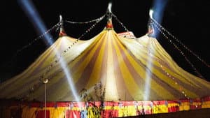 The Circus — foto 1