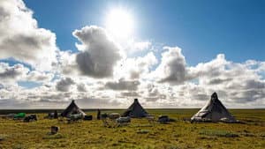 Gaz russe, la dernière route des Nenets — foto 6