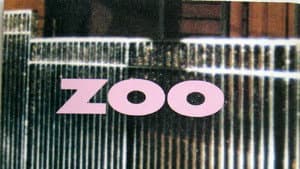 Zoo — foto 1