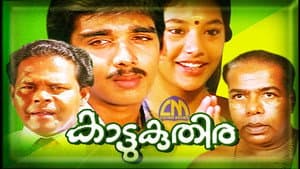 കാട്ടുകുതിര — foto 1