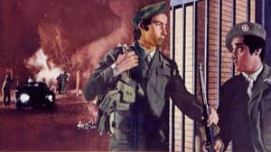 Scusi, si potrebbe evitare il servizio militare?... No! — foto 2