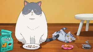 かなしきデブ猫ちゃん — foto 1