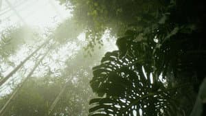Paradise Lost? — foto 1