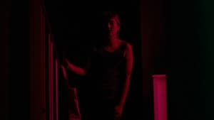 Howl — foto 5