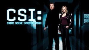 CSI: Las Vegas — foto 7