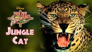 El Jaguar del Amazonas — foto 4