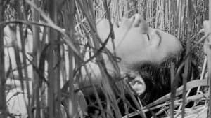 La guerra di Valeria — foto 1