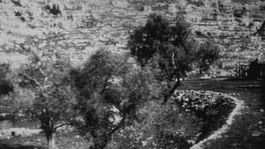 Jaffa : panorama en chemin de fer — foto 1