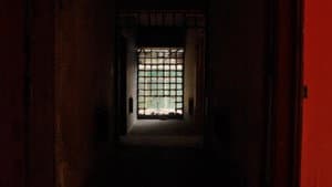 There Is No Light Inside the Mirror — foto 1