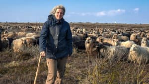 Sylt - Wellen, Wind und Watt — foto 8