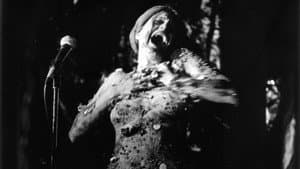 Karen Finley Live — foto 1
